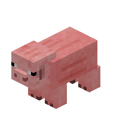 a rotating pig